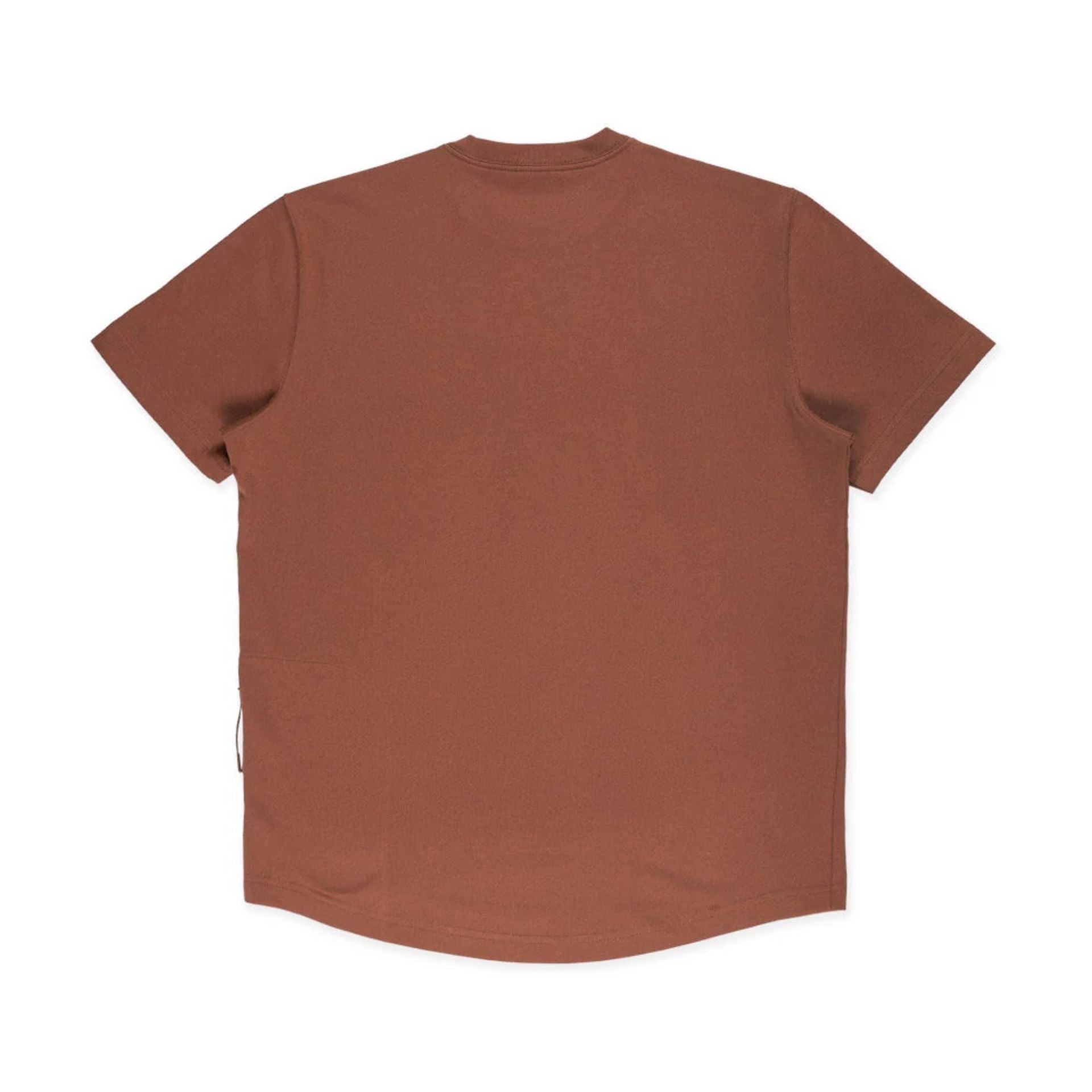 The model is wearing this New Era Mountain Logo T-Shirt in Open Brown. 2