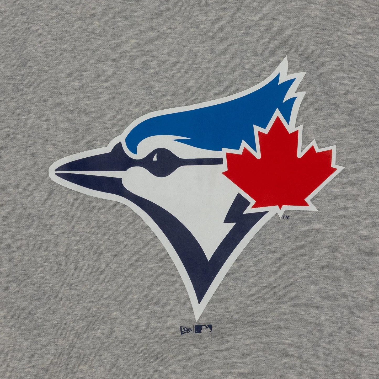 The Male model is wearing Toronto Blue Jays MLB Regular Grey Pullover Hoodie 3