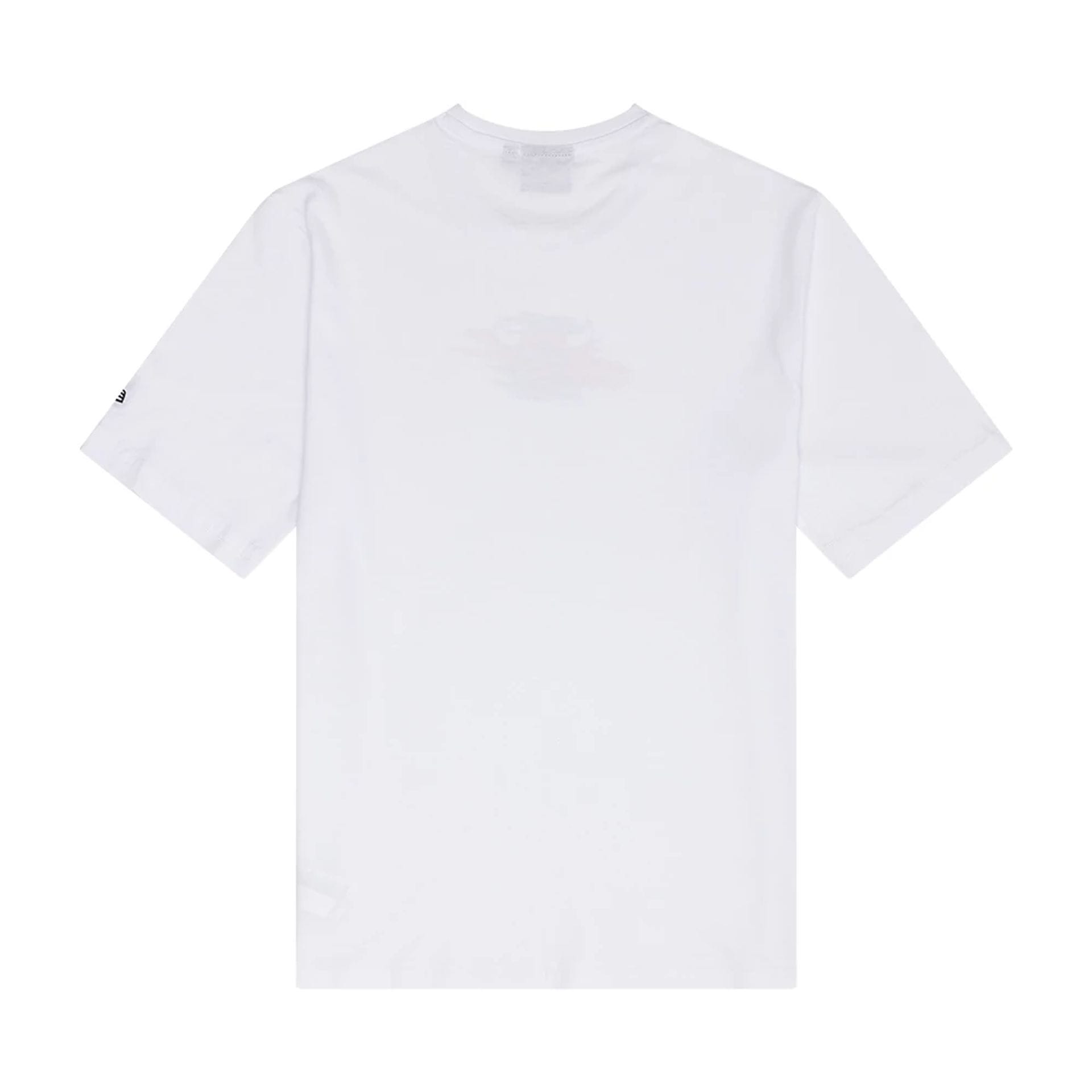 The Male model is wearing Chicago Bulls NBA Paint Graphic White T-Shirt 2