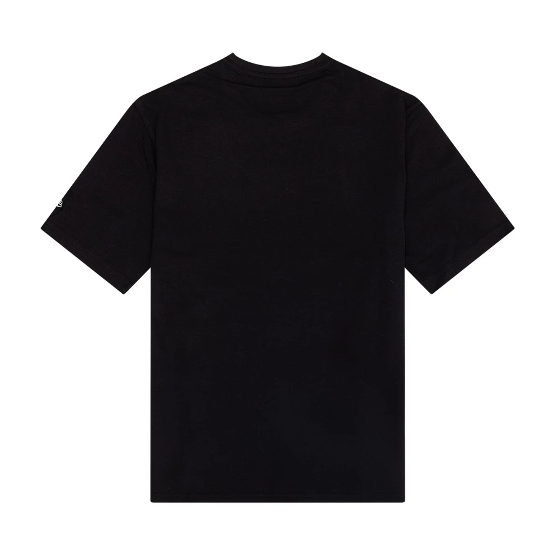 The Male model is wearing Chicago Bulls NBA Outline Graphic Black T-Shirt 2