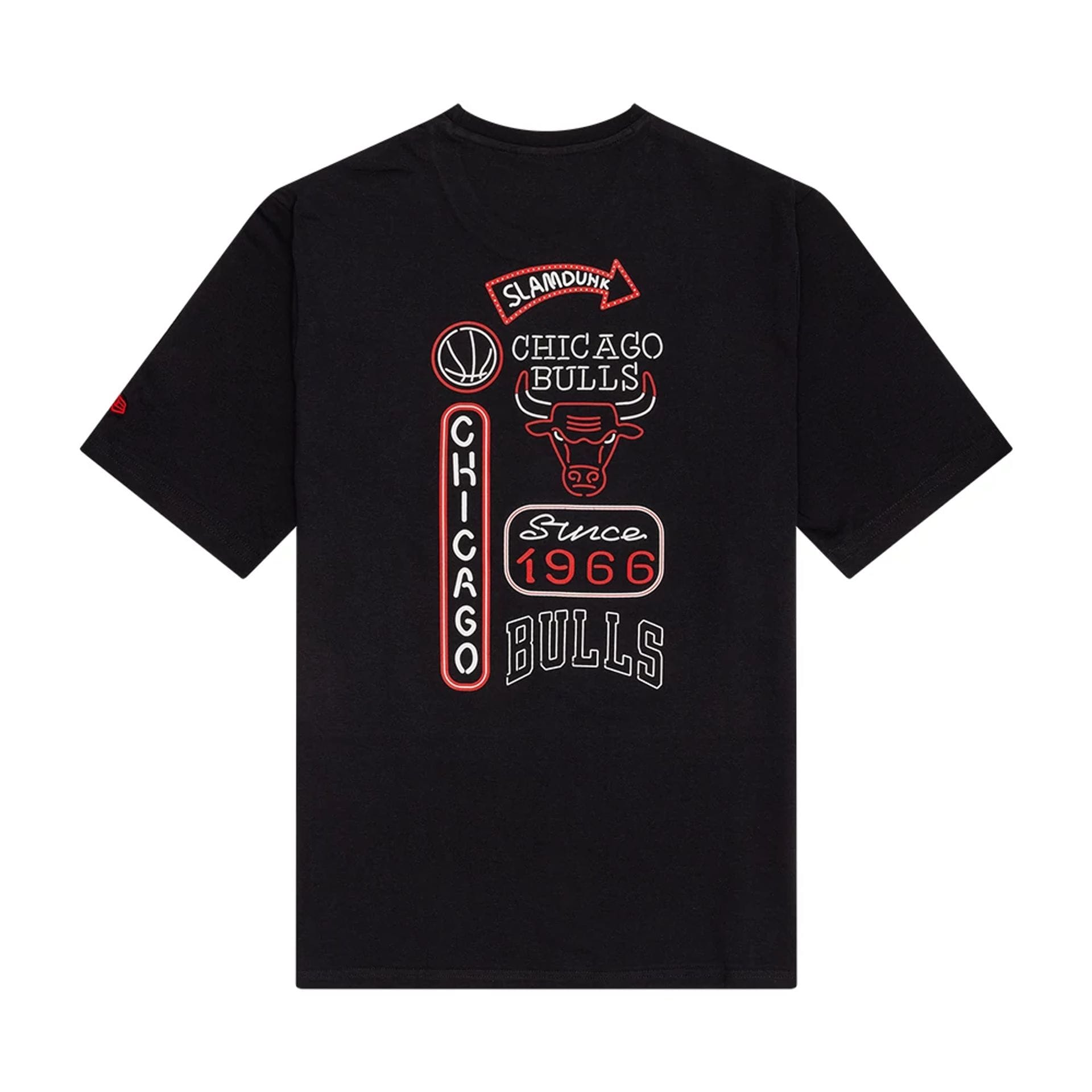 The Male model is wearing Chicago Bulls NBA Neon Graphic Black T-Shirt 2