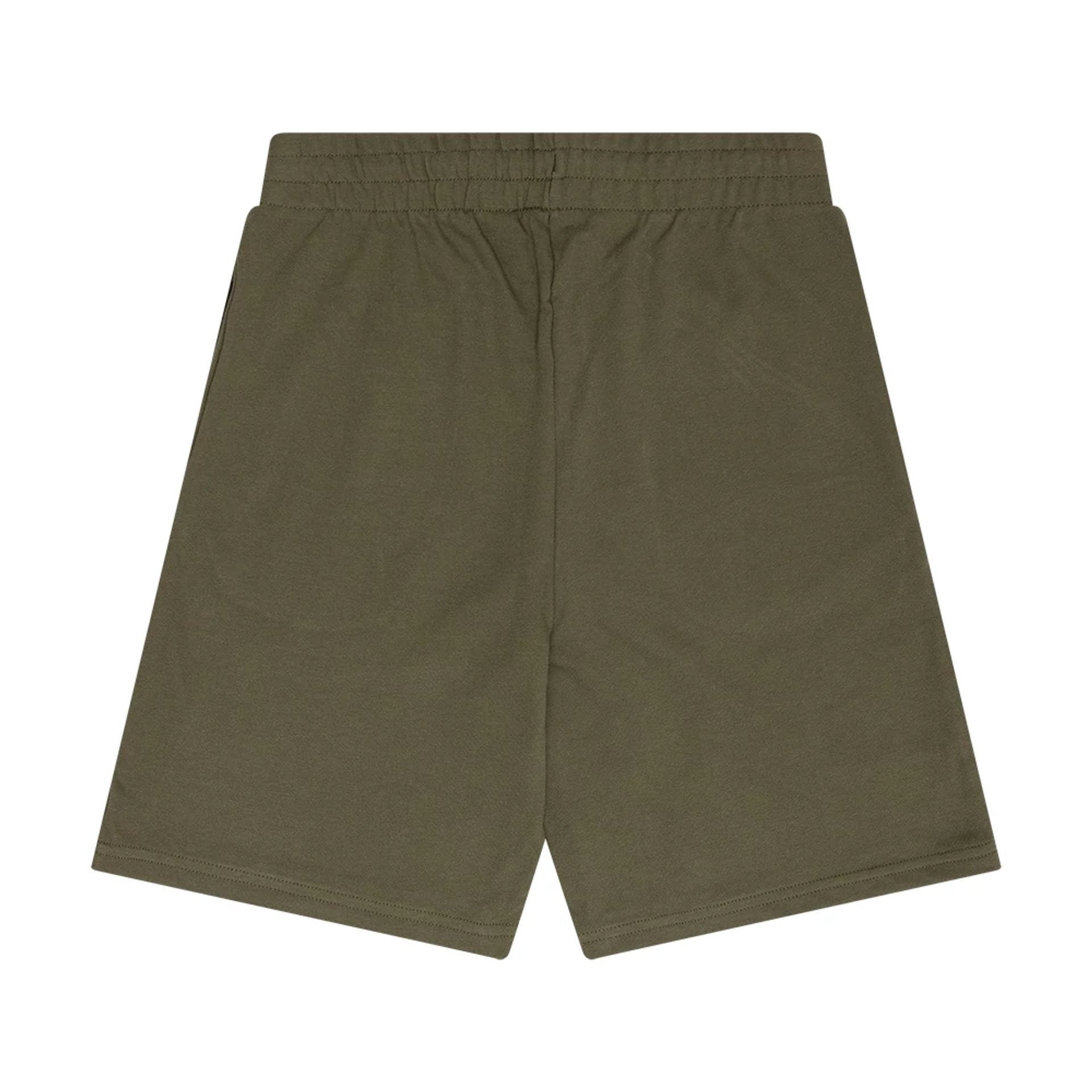 The Male model is wearing New Era Flag Green Shorts 1