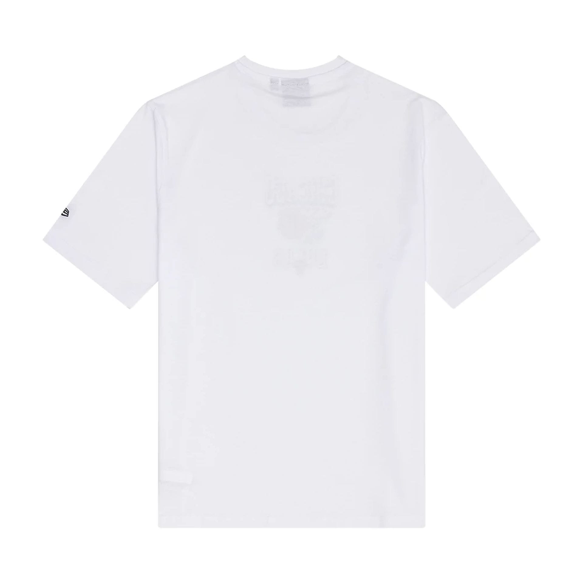 The Male model is wearing Chicago Bulls NBA Graphic White T-Shirt 2