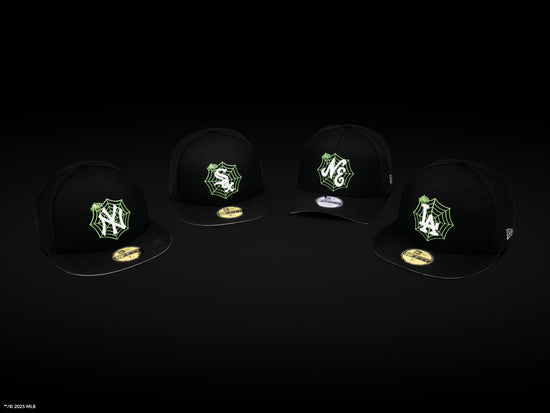 Slide 3:COLLECTION WEB