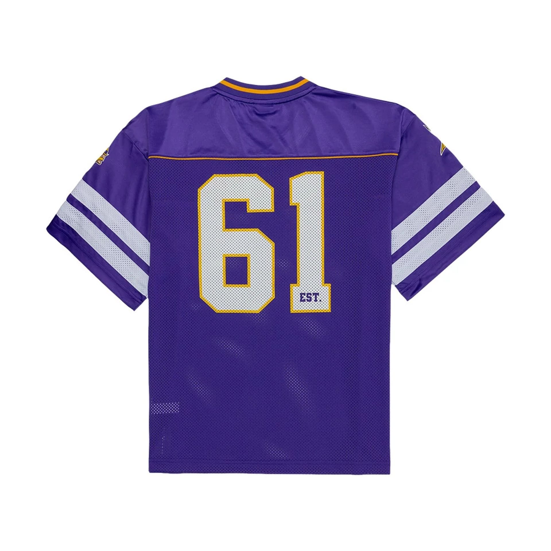 The model is wearing this NFL Minnesota Vikings Mesh Jersey in purple. 2