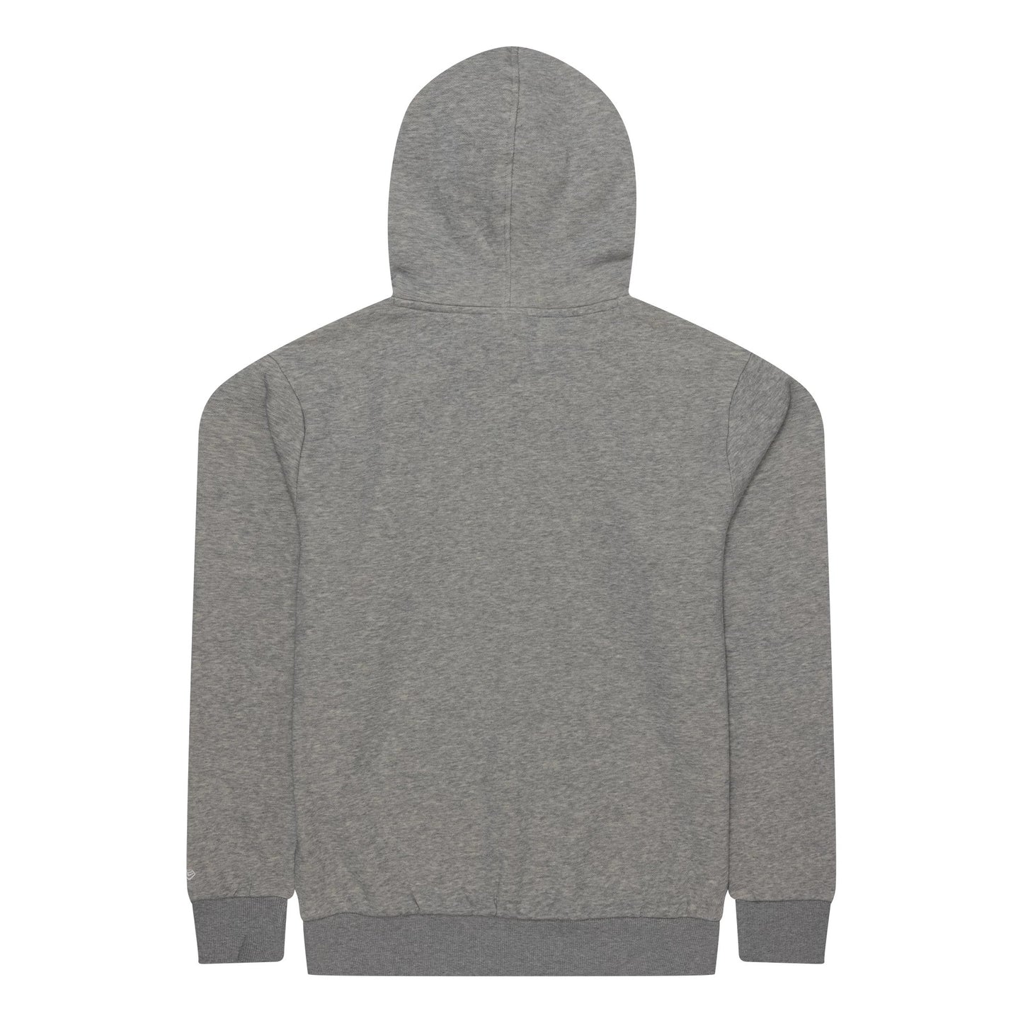 The Male model is wearing Texas Rangers MLB Regular Grey Pullover Hoodie 2