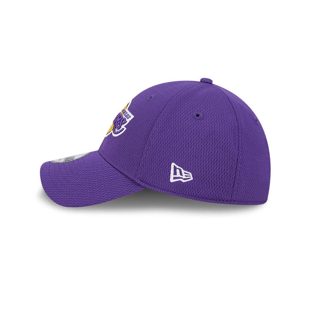 Pictured is this NBA Evergreen LA Lakers 39THIRTY Stretch Fit cap in purple. 5
