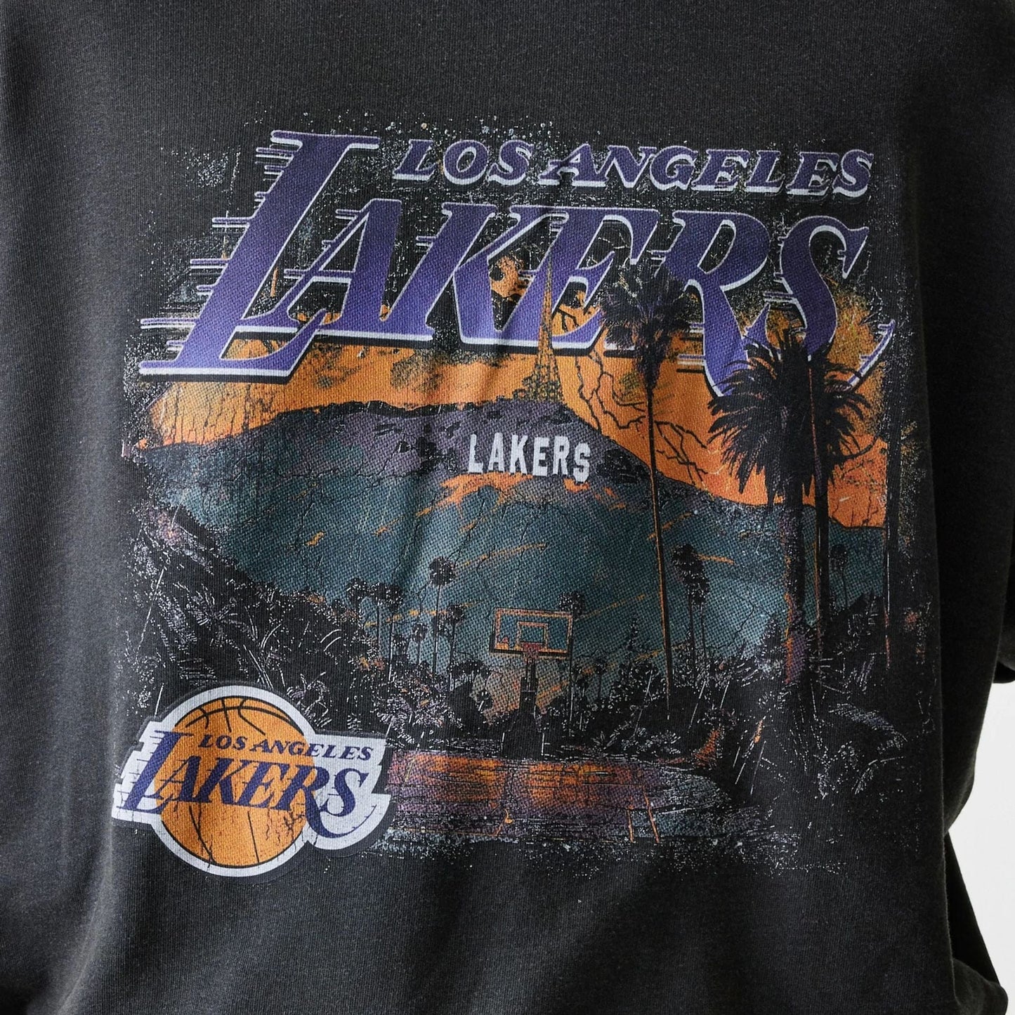 The Male model is wearing LA Lakers NBA Washed Graphic Grey Oversized Crew Neck Sweater 6