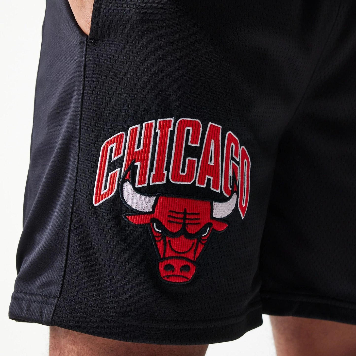 The Male model is wearing Chicago Bulls NBA Arch Graphic Black Mesh Shorts 3