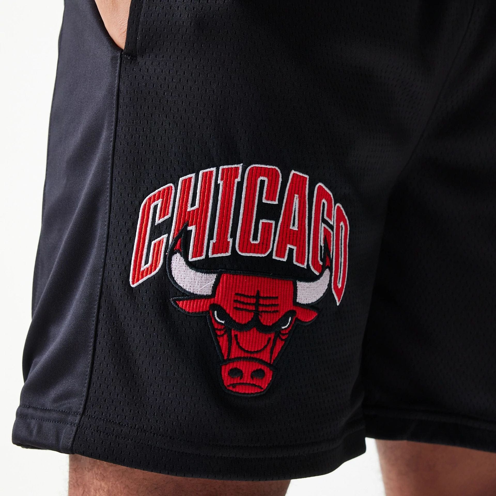 The Male model is wearing Chicago Bulls NBA Arch Graphic Black Mesh Shorts 3