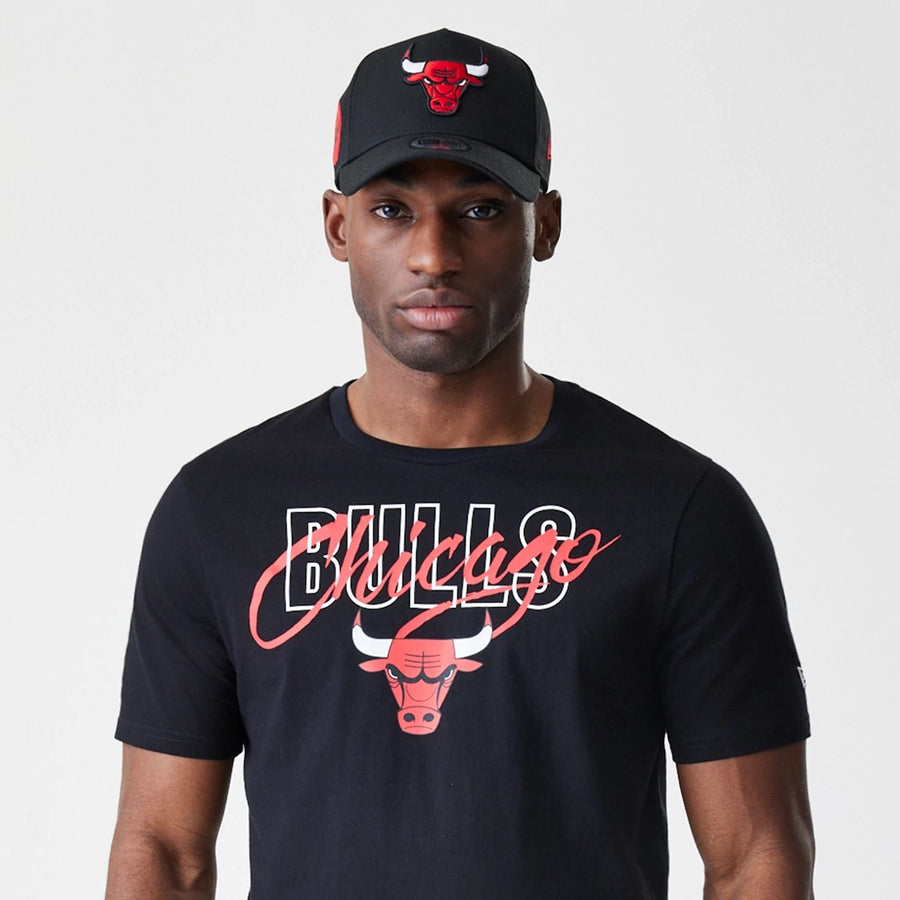 The Male model is wearing Chicago Bulls NBA Script Black T-Shirt  6