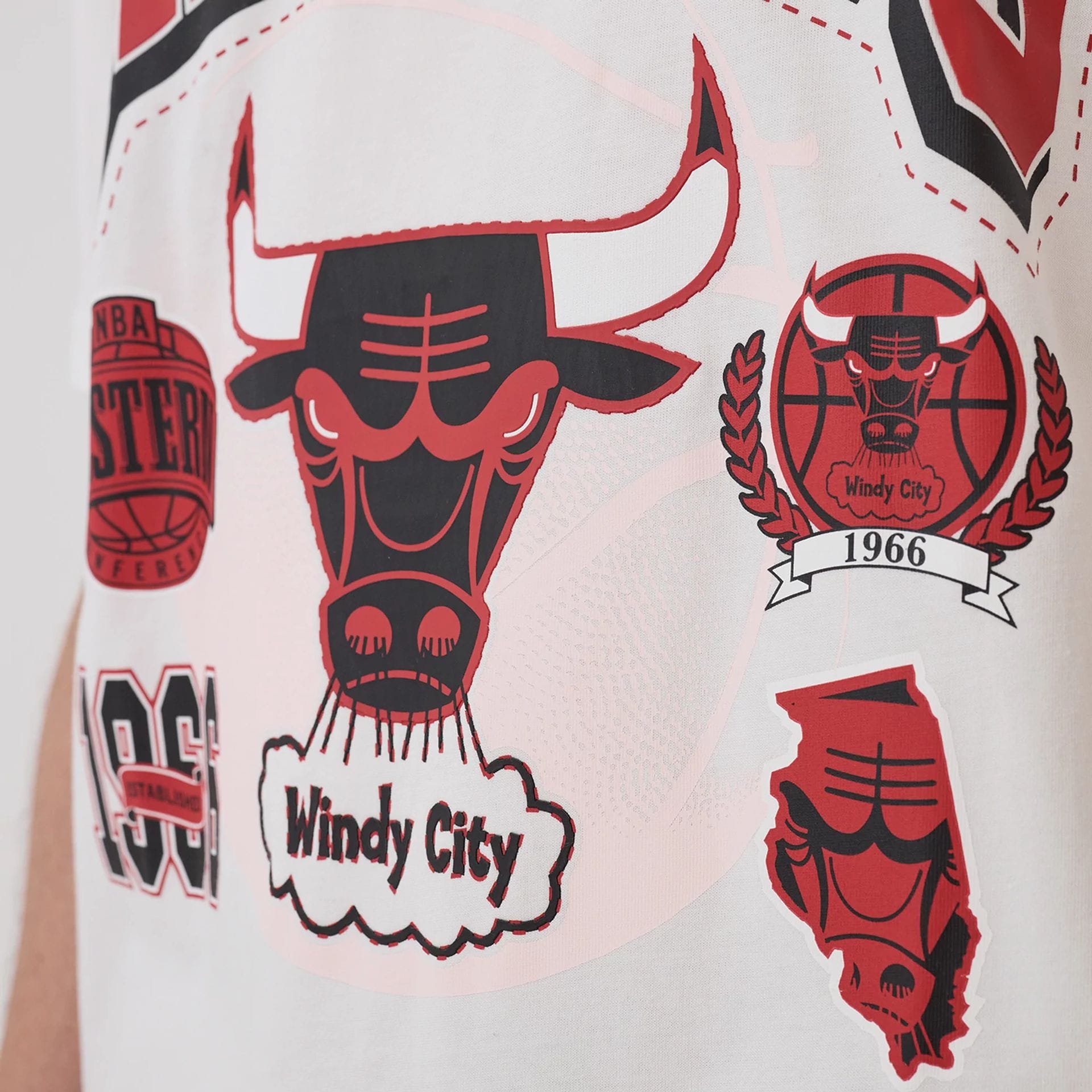 The model is wearing this NBA Sport Classic Chicago Bulls T-Shirt in white. 6