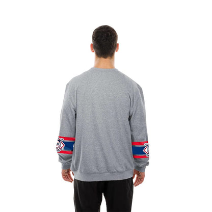 The model is wearing this MLB Sport Classic LA Dodgers Crew Neck Sweater in grey. 2
