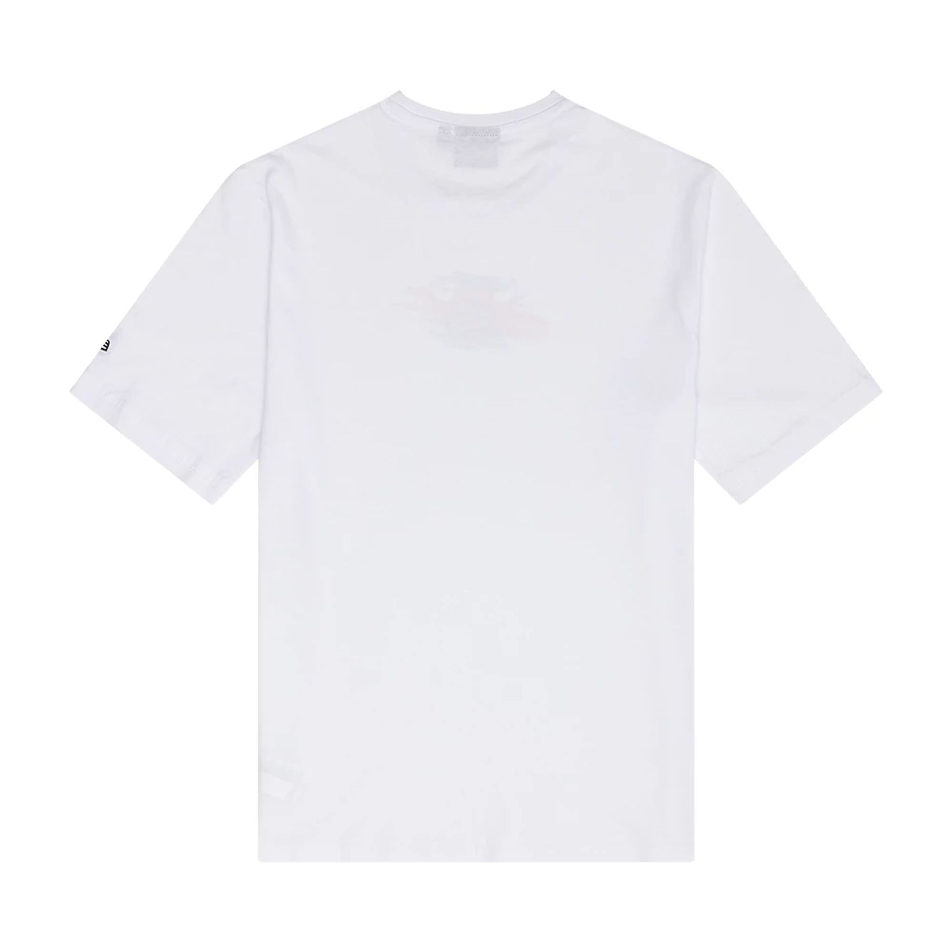 The Male model is wearing Chicago Bulls NBA Paint Graphic White T-Shirt 2