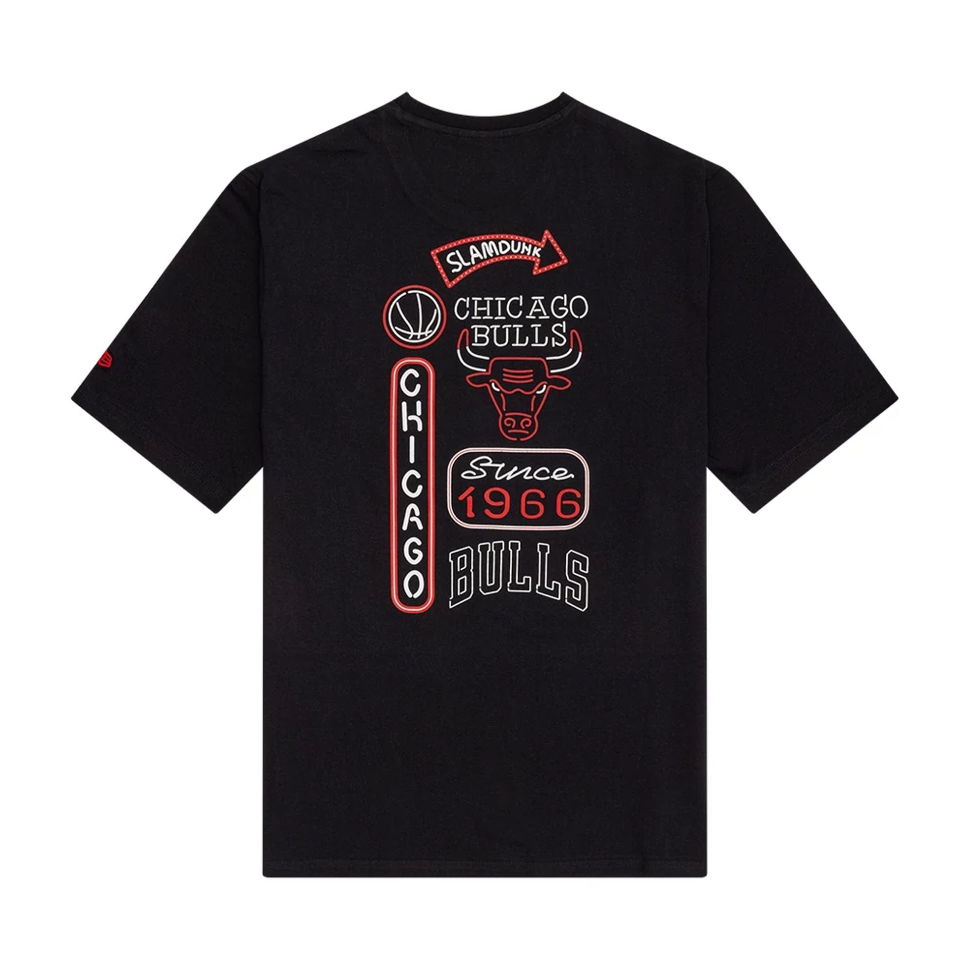 The Male model is wearing Chicago Bulls NBA Neon Graphic Black T-Shirt 2