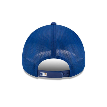Pictured is this MLB Batting Practice 2026 Kansas City Royals 9FORTY Apex cap in blue. 4
