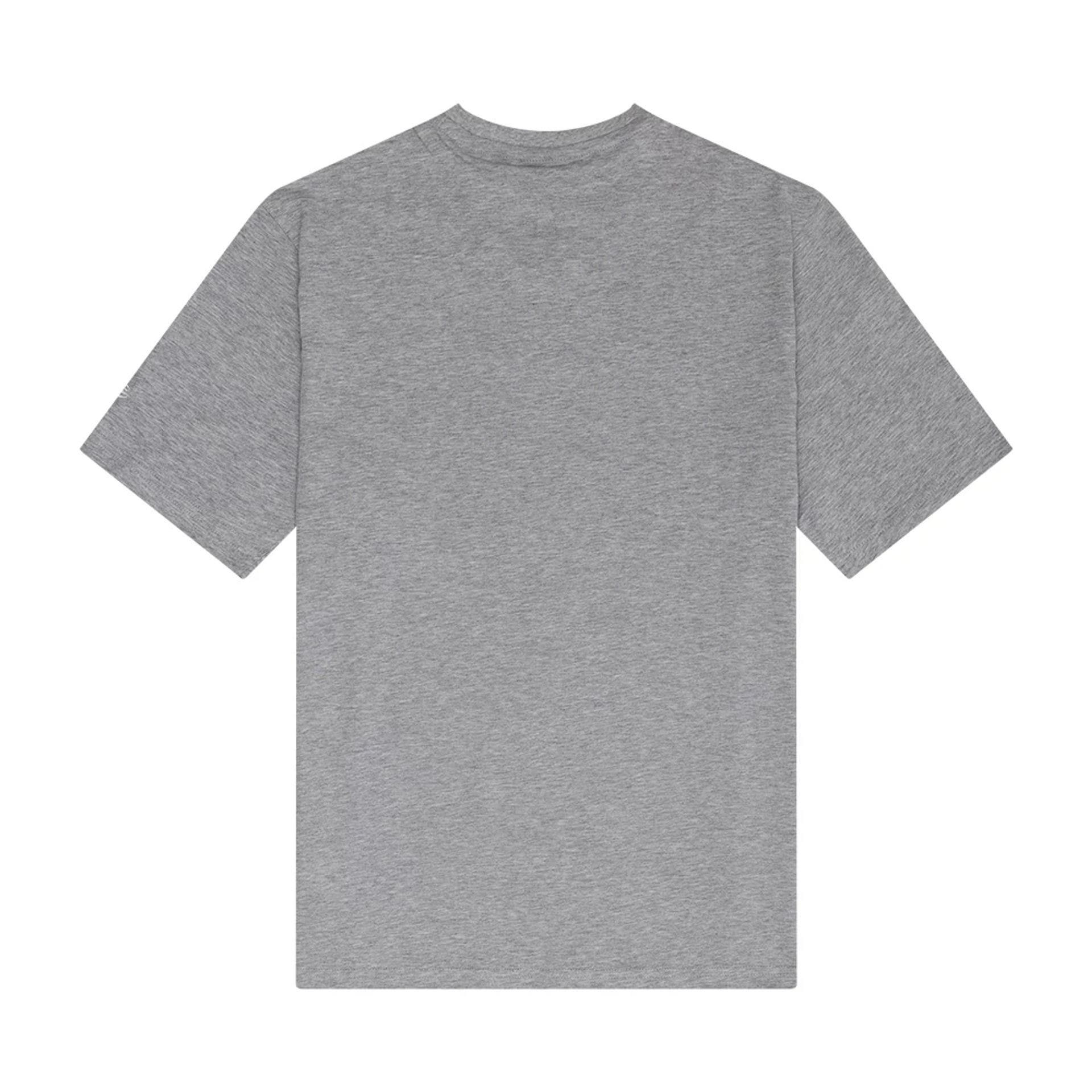 The Male model is wearing New Era Miami City Grey T-Shirt 2