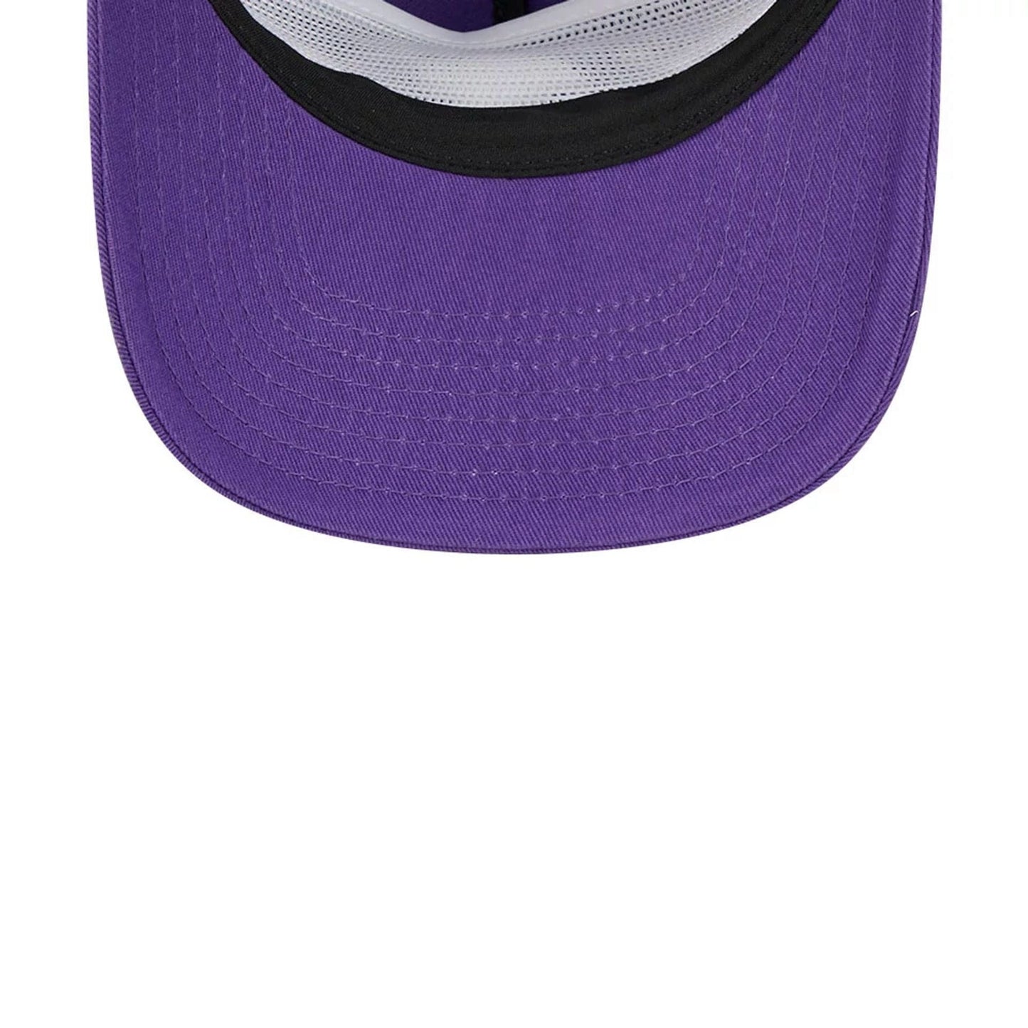 Pictured is this NBA All Star Game 2026 LA Lakers 19TWENTY cap in purple. 7