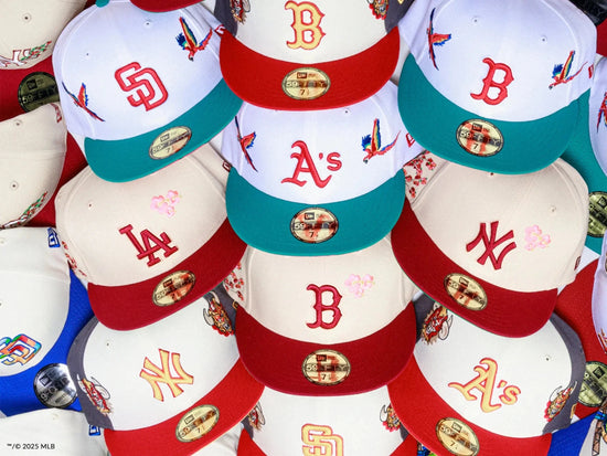 Slide 10:MLB CITY ELEMENTS