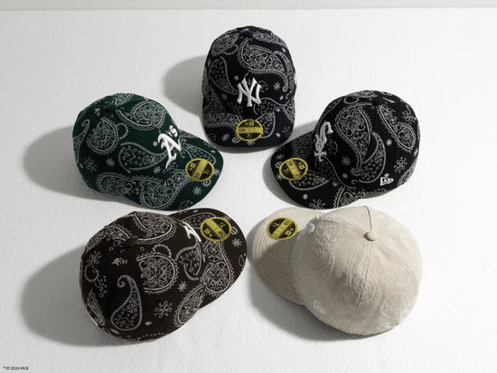 Slide 13:COLLECTION PAISLEY