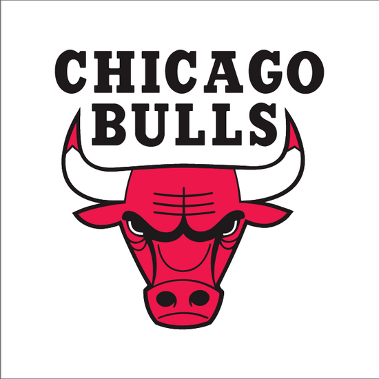 Slide 5:CHICAGO BULLS