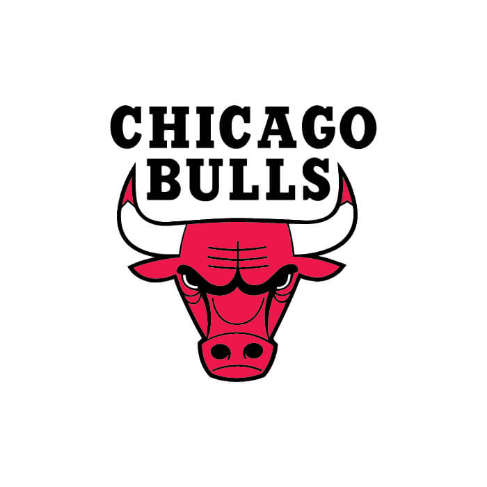 Chicago Bulls logo