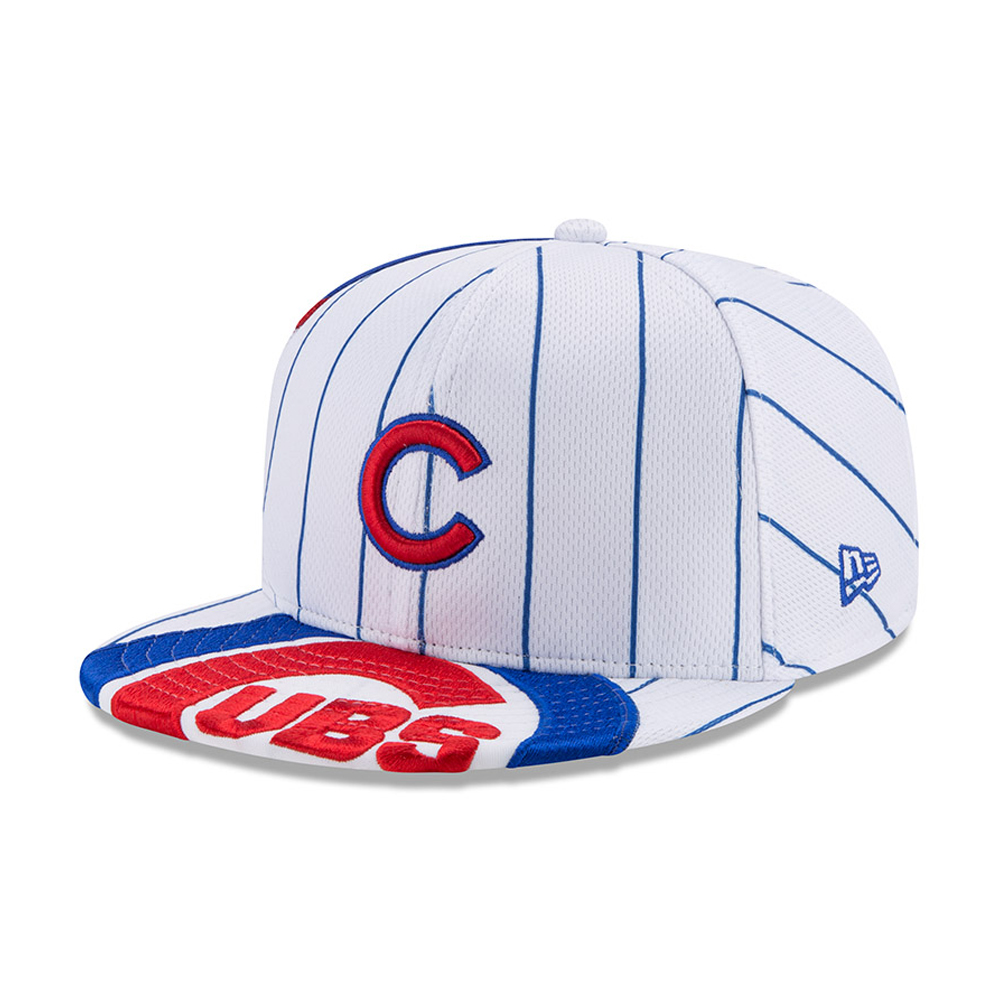 cubs jersey and hat