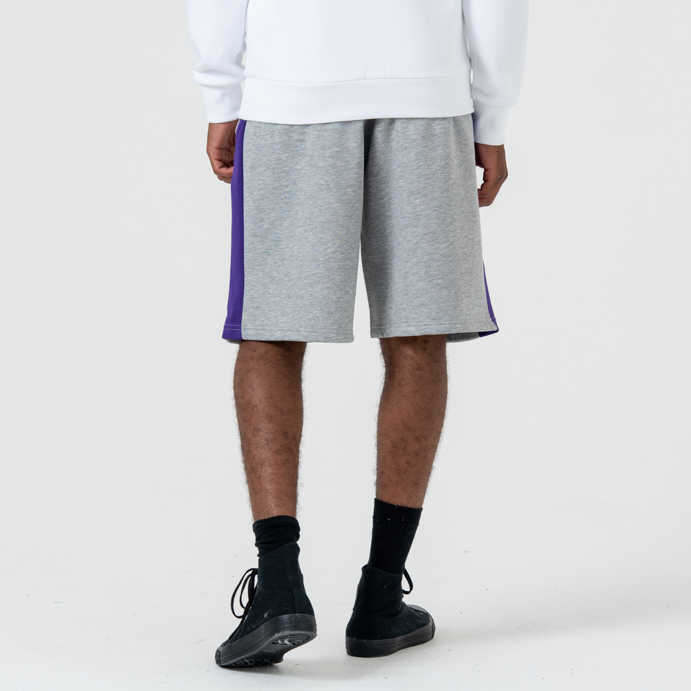 Los Angeles Lakers – Shorts mit Logo – Grau
