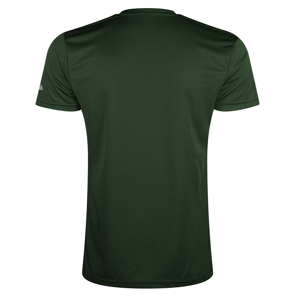 Camiseta Green Bay Packers, verde