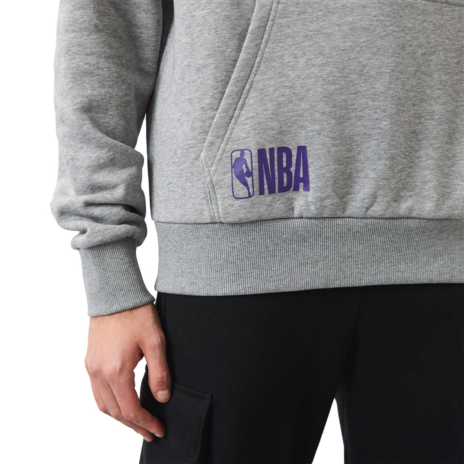 LA Lakers NBA Team Logo Grey Hoodie
