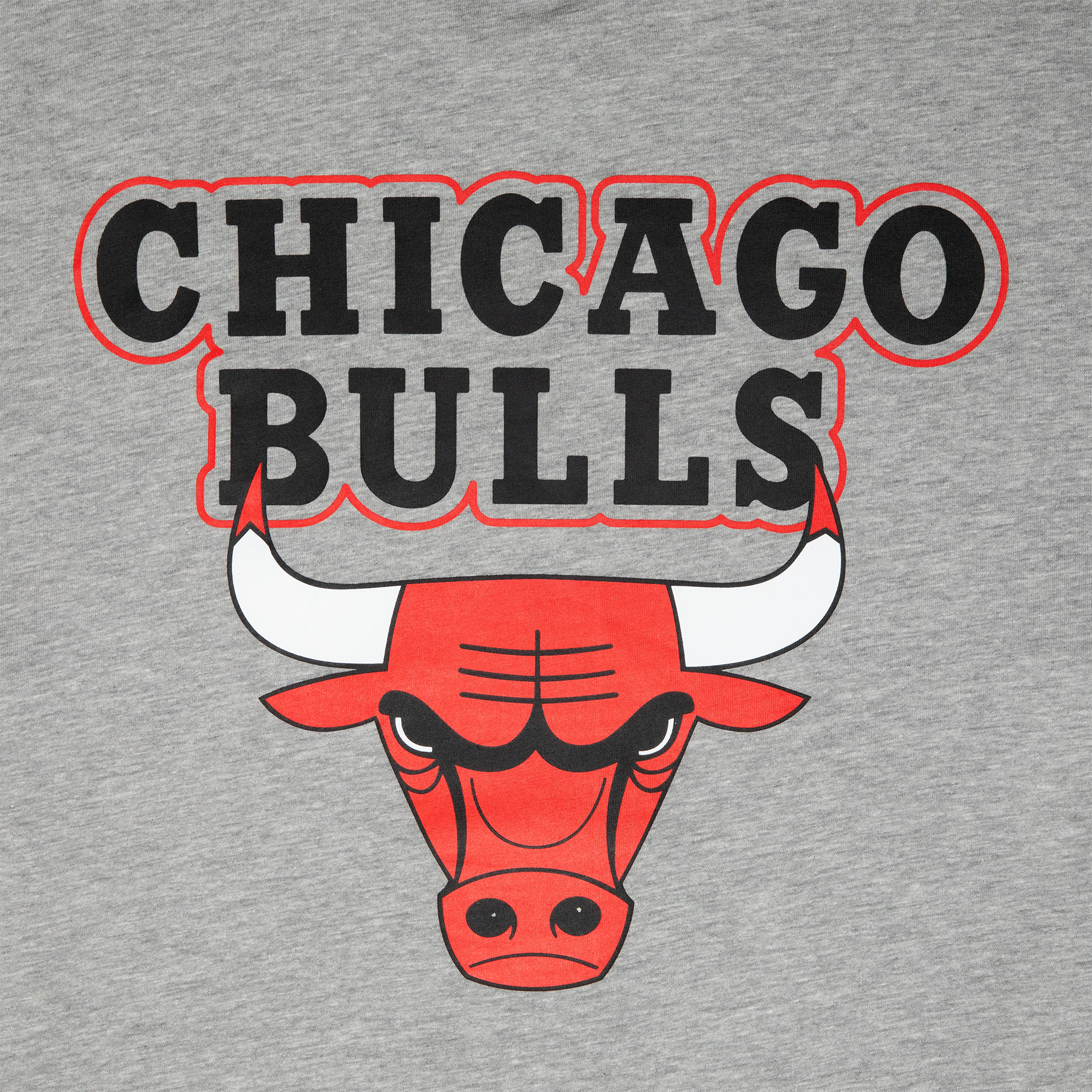 T-shirt Oversize Chicago Bulls NBA Paris Games Gris